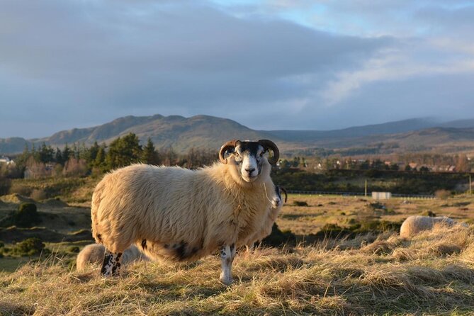 1 Day Castles, West Highlands and Loch Lomond Tour from Edinburgh - Why this day trip works from Edinburgh