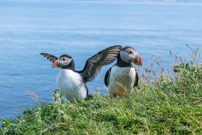 1 Day Moray Coast Tour with Speyside Whisky from Inverness - Why this Moray Coast route works from Inverness