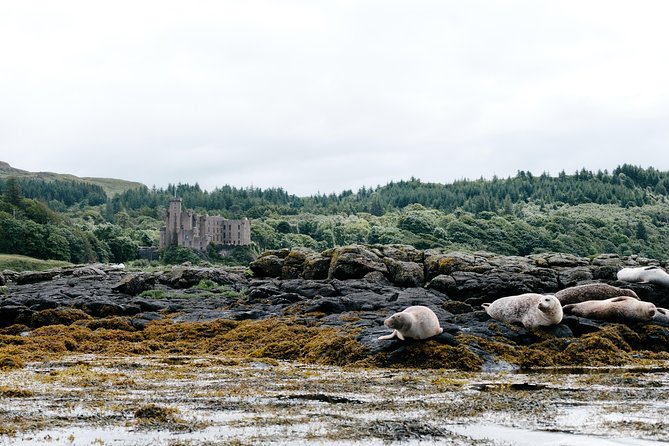 3-Day Isle of Skye, 'Hogwarts Express' Train and Highlands Tour - Dunvegan Castle and Gardens: history with an extra charge