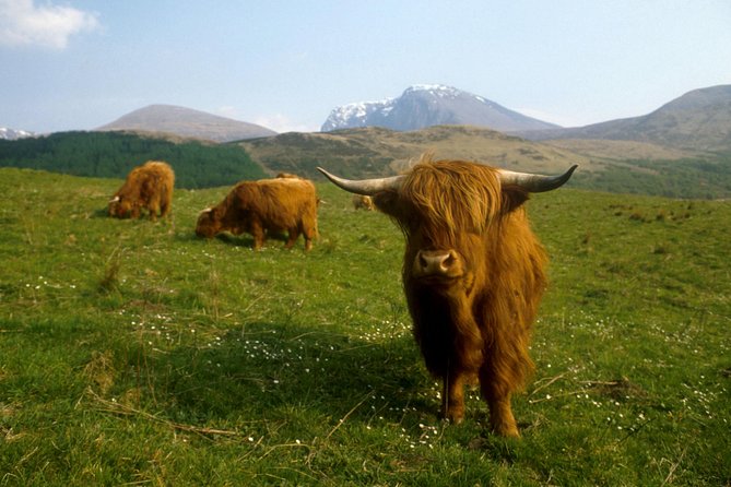 3-Day Isle of Skye, 'Hogwarts Express' Train and Highlands Tour - The real cost and value of the $926.56 price