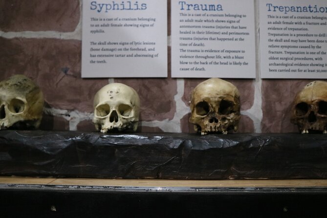 Admission Ticket to Sick To Death in Chester - The magical shop and the final look around