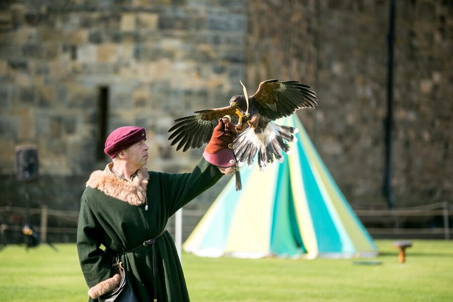 Alnwick: Alnwick Castle Ticket - Museums, exhibitions, and the castle story