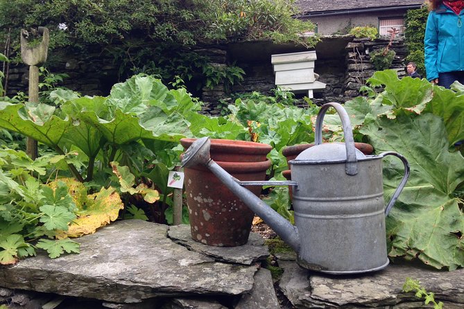 Beatrix Potter's Half Day Lake District Tour Including Lake Cruise - Tarn Hows is a quick scenic pause