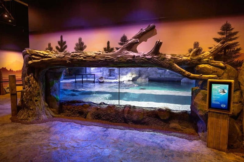Birmingham: National Sea Life Centre Entrance Ticket - Key points to know before you go