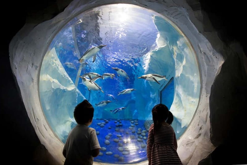 Birmingham: National Sea Life Centre Entrance Ticket - Jellyfish, piranhas, and the 4D Cinema