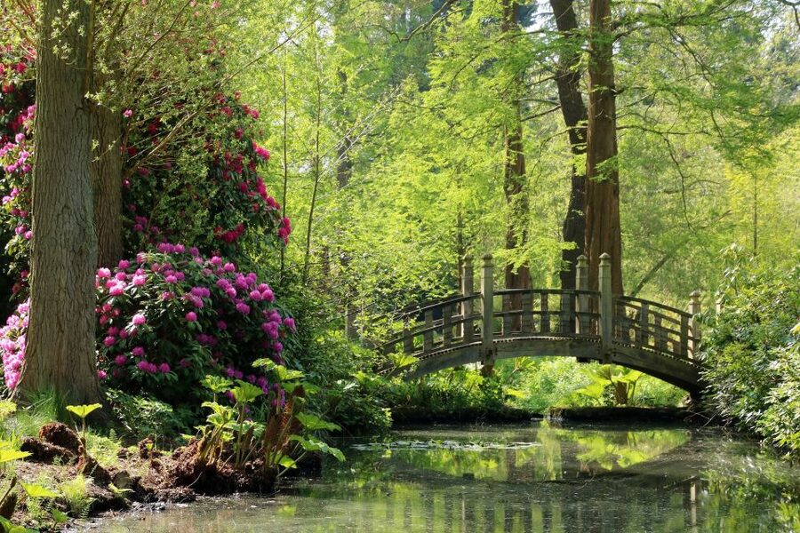 Birmingham: Winterbourne House and Garden Admission Ticket - Key points to know before you go
