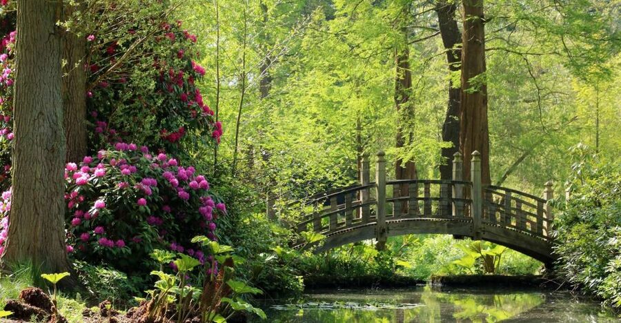 Birmingham: Winterbourne House and Garden Admission Ticket - The best seasons and weather strategy