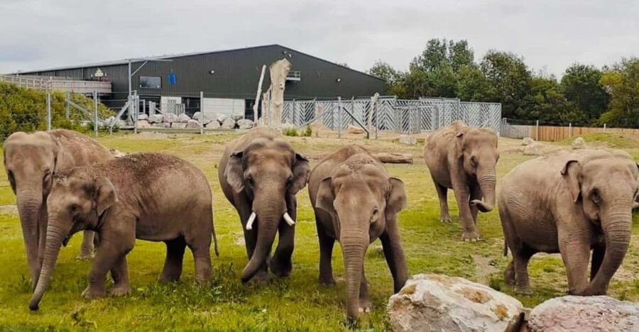 Blackpool: Zoo Admission Ticket - Blackpool Zoo at a glance