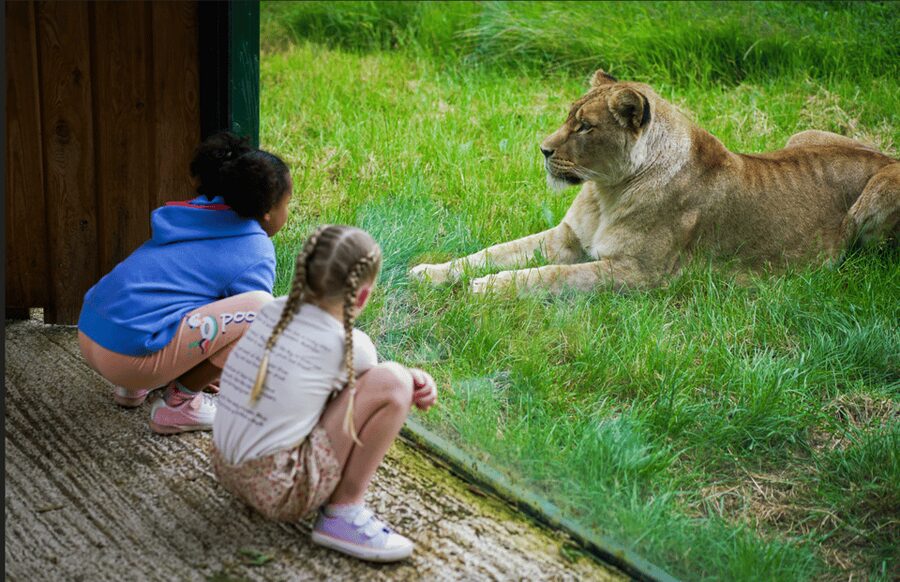 Blackpool: Zoo Admission Ticket - Use the talks and feeds to shape your day
