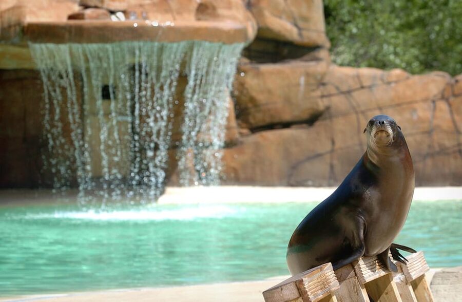Blackpool: Zoo Admission Ticket - Food, parking, and practical costs