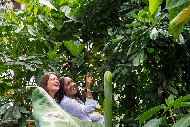 Bombay Sapphire Gin Distillery Tour and Cocktail - Learn why vapour infusion matters