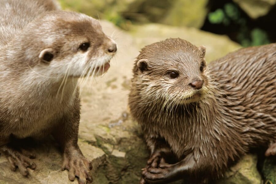 Bournemouth Oceanarium Ticket - From Key West colour to the dark ocean depths