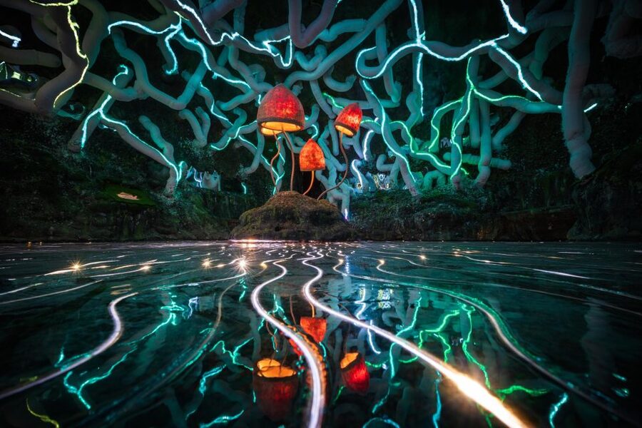 Bristol: Wake The Tiger Amazement Park Entry Ticket - The Dream Factory is built for wandering