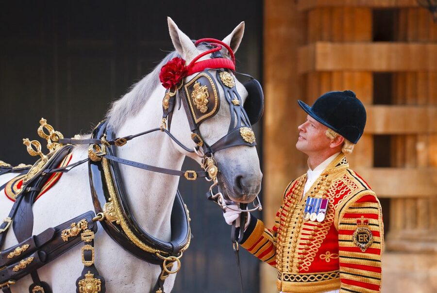 Buckingham Palace: The Royal Mews Entrance Ticket - Starting at Buckingham Palace Road