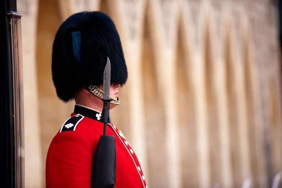 Buckingham Palace & Windsor Castle: Full-Day Tour - Who should choose this day trip