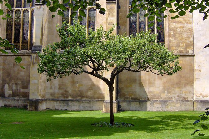 Cambridge: University Walking Tour - Cavendish Laboratory and the rise of modern science