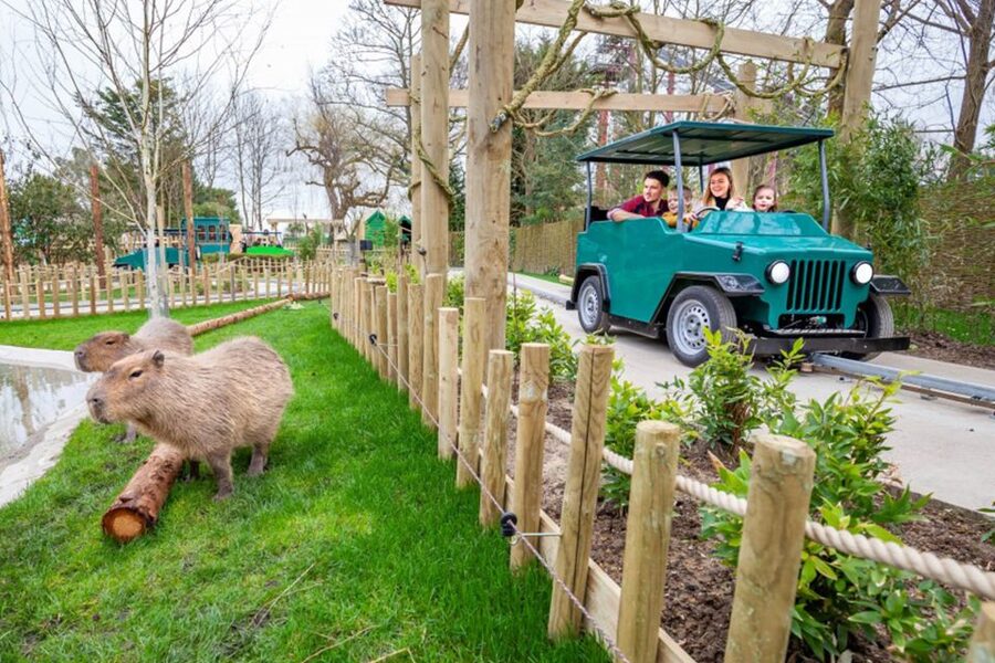 Chessington World of Adventures Resort: Entrance Ticket - Should you book Chessington World of Adventures?