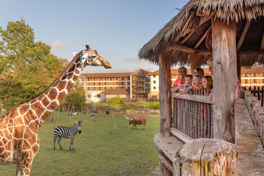 Chessington World of Adventures Resort: Entrance Ticket - Planning for Mandrill Mayhem