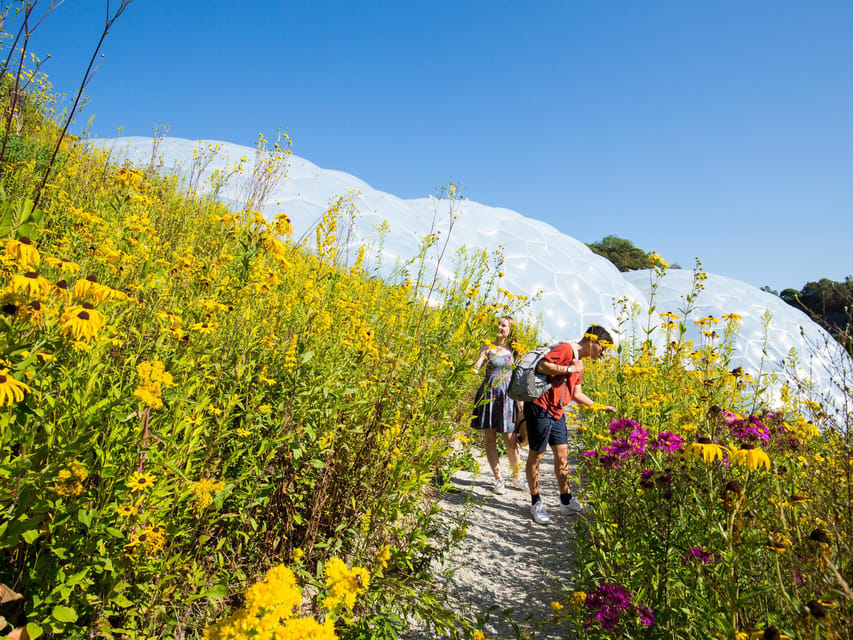 Cornwall: Eden Project Entry Ticket - Is the $51 entry price fair?