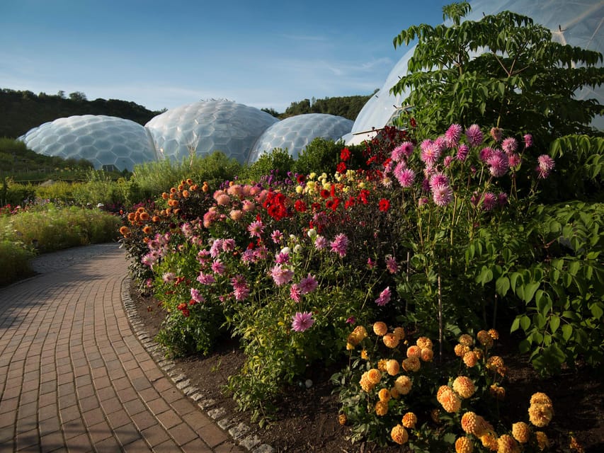 Cornwall: Eden Project Entry Ticket - Why Eden Project feels different from an ordinary garden visit