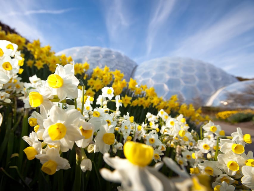 Cornwall: Eden Project Entry Ticket - Outdoor gardens, artwork, and changing displays