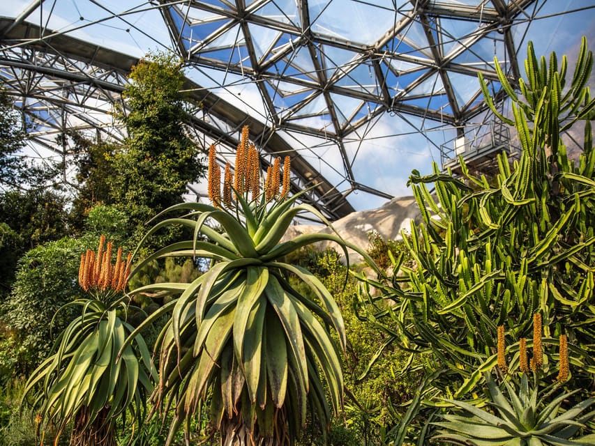Cornwall: Eden Project Entry Ticket - Food, water, toilets, and practical comfort