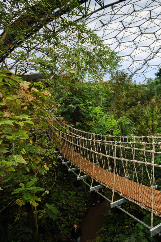 Cornwall: Eden Project Entry Ticket - Accessibility, families, and dogs