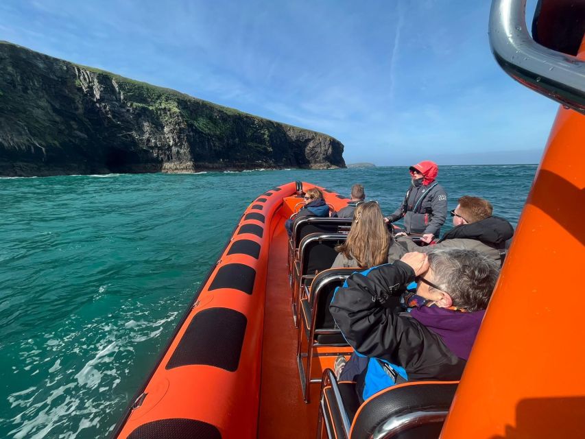 Cornwall: Guided Seal Safari by Boat - A fast start from Padstow Harbour