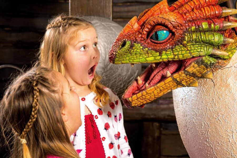 DreamWorks Shrek's Adventure and London Eye: Combo Ticket - Is $79.47 good value for a family?