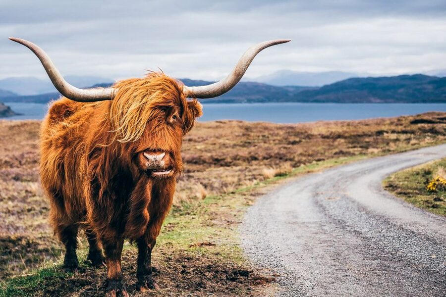 Edinburgh: 3-Day Isle of Skye, Highlands, and Loch Ness Tour - Fort William and views of Ben Nevis