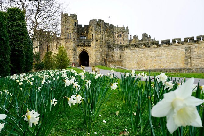Edinburgh: Holy Island, Alnwick Castle & Kingdom of Northumbria - Alnwick Castle: the main event for many people