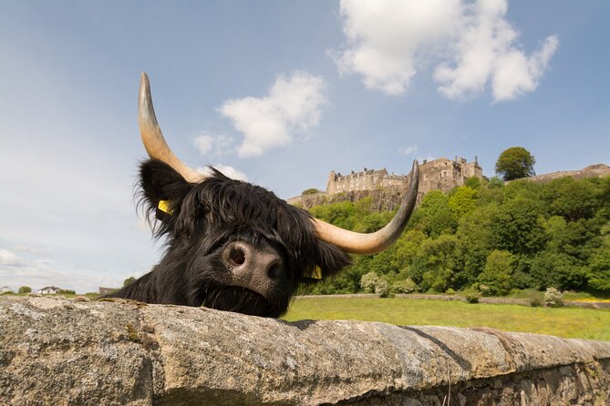 Edinburgh: Loch Lomond, Stirling Castle and the Kelpies Day Tour - What this 9.5-hour Scottish day looks like