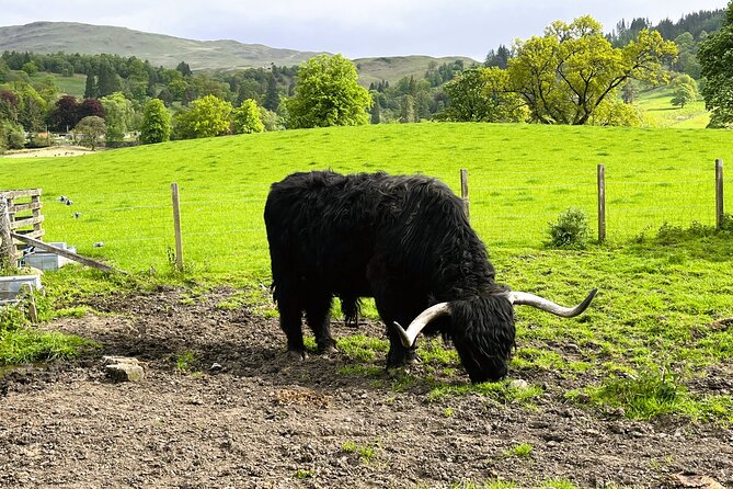 Edinburgh: Loch Ness, Glencoe & The Highlands - Pitlochry closes the day gently