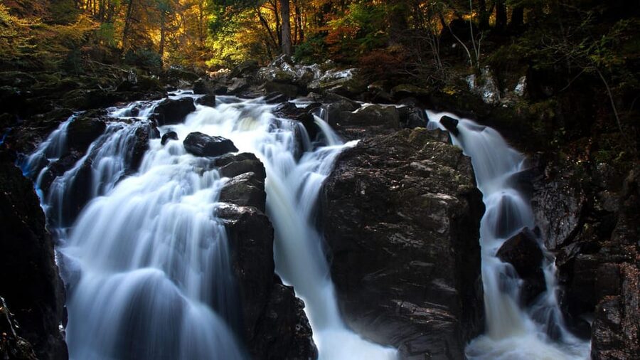 Edinburgh: Loch Ness, Scenic Walk, Glencoe & Whisky Day Tour - Highland cows and seasonal expectations