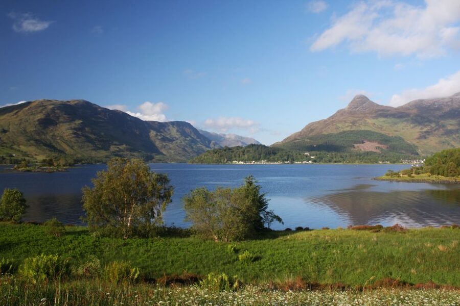 Edinburgh: Ultimate Whisky Experience - Who should book this whisky experience?