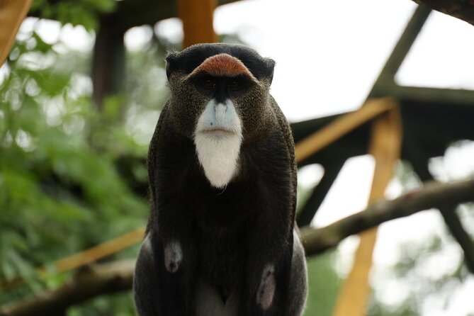 Entry ticket to Hoo Zoo and Dinosaur World in Telford - Food, extras, and the real cost of the day