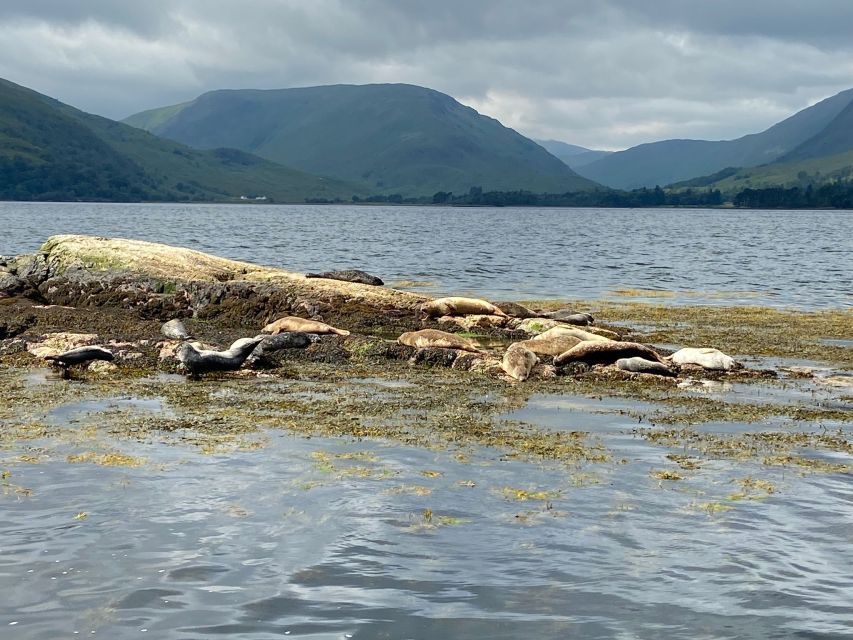 Fort William: Seal Spotting Loch Linnhe Cruise - What the two-hour timing feels like