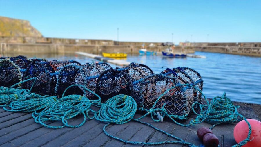From Aberdeen: Coastal Villages of Aberdeenshire Tour - Collieston, Cruden Bay, and the coastal stories