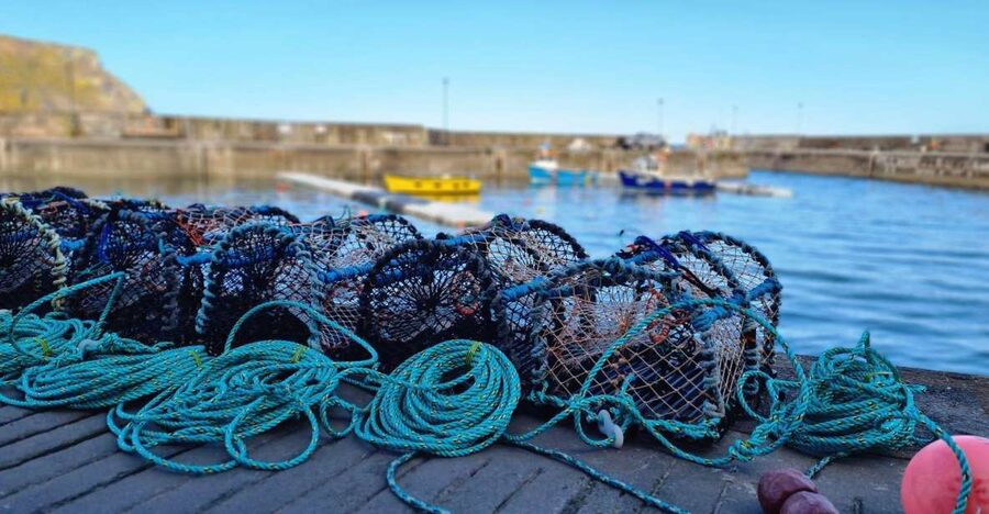 From Aberdeen: Coastal Villages of Aberdeenshire Tour - Gardenstown and the walk toward Crovie