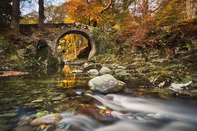 From Belfast: Game of Thrones Winterfell Locations Trek - Tollymore Forest and the Haunted Forest scenes