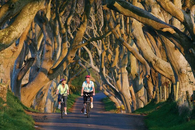 From Belfast-Giants Causeway, Dunluce Castle and Dark Hedges tour - Meeting in Belfast and managing the timing