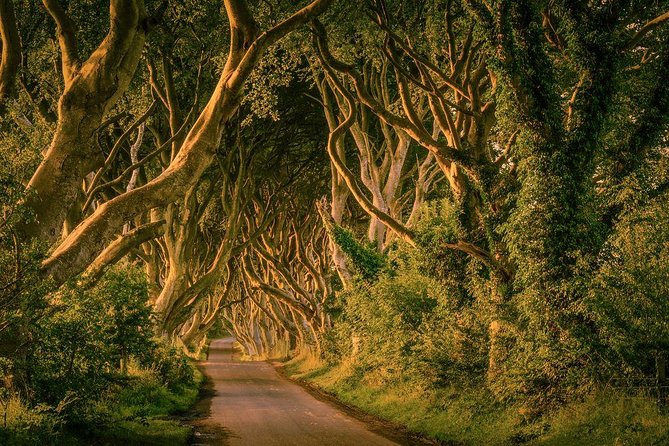 From Belfast-Giants Causeway, Dunluce Castle and Dark Hedges tour - Who should book this tour?