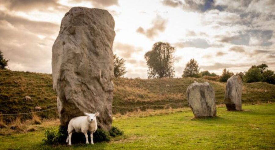 From Bristol: Stonehenge and Cotswold Villages Day Tour - Who should book this tour?