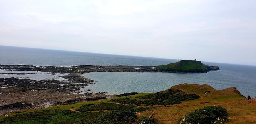 From Cardiff: Mumbles and Gower Peninsular Tour - Food, facilities, and the rhythm of the day