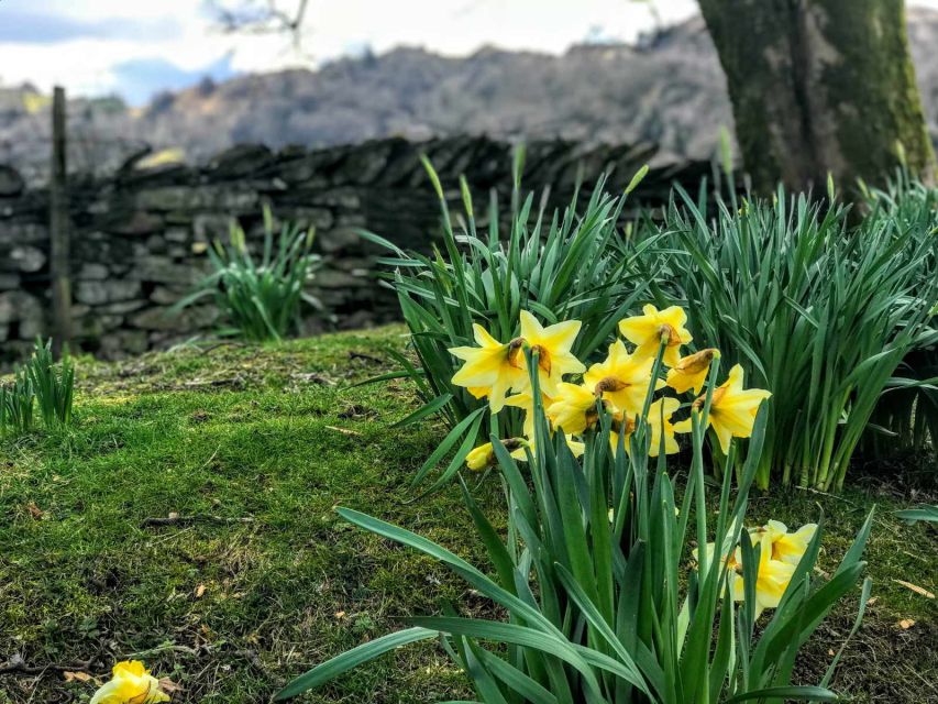 From Chester: Lake District Full-Day Guided Sightseeing Tour - Bowness-on-Windermere and the optional boat