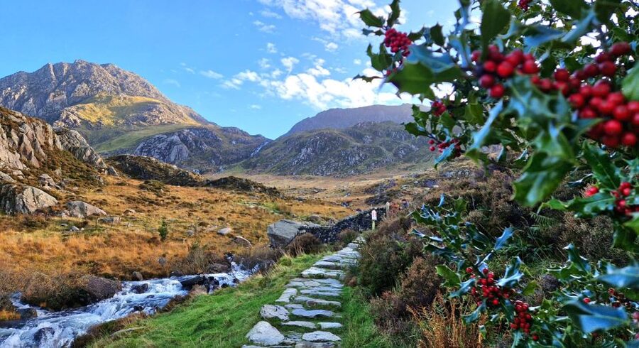 From Chester: North Wales and Caernarfon Castle Tour - Betws-y-Coed: a relaxed village break