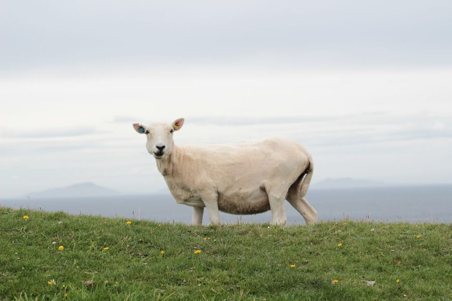 From Edinburgh: 2-Day Highlands Tour with Hogwarts Express - Is $481 a fair price?