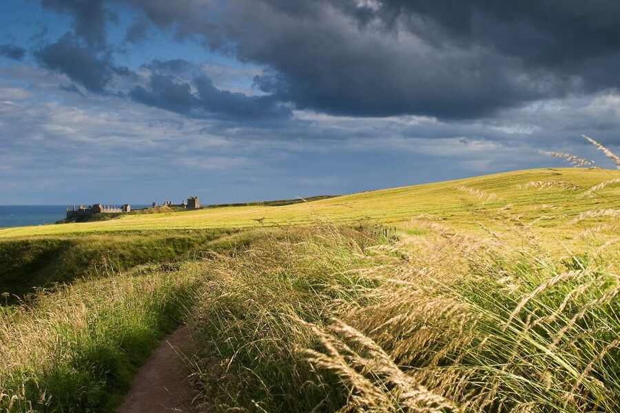From Edinburgh: Glamis and Dunnottar Castles Tour in Italian - Key points to know before you book