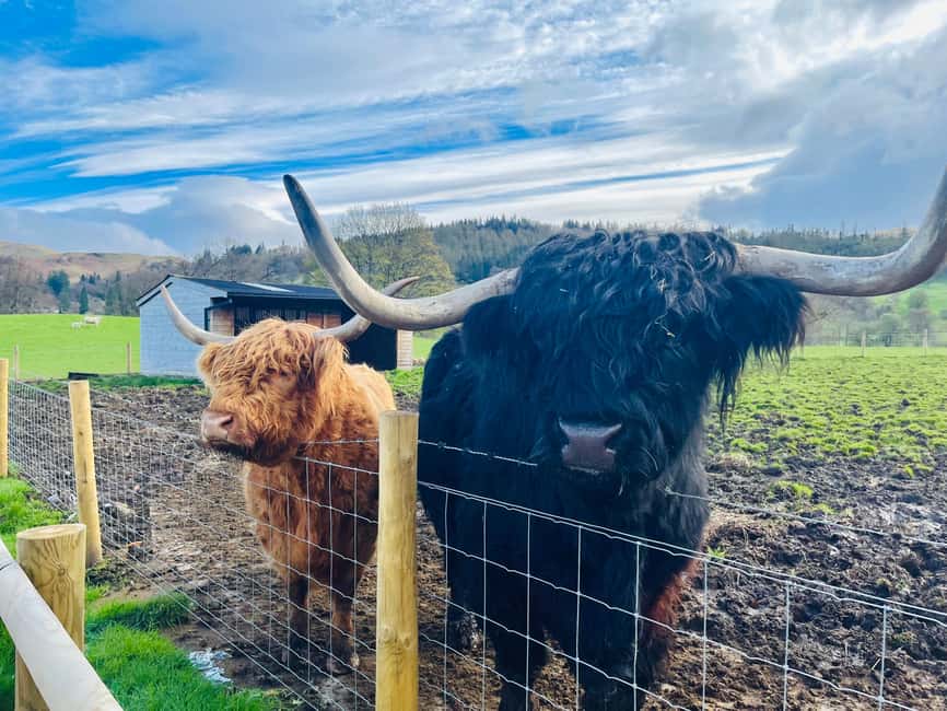 From Edinburgh: Loch Ness, Glencoe & The Highlands Day Trip - Key points to know before booking