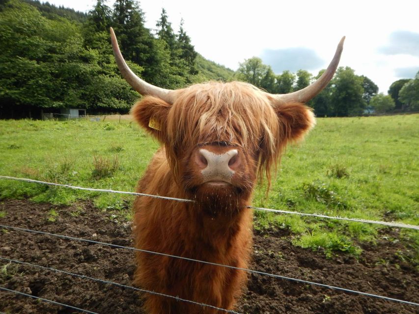 From Edinburgh: Scottish Highlands & Isle of Skye 5-Day Tour - Who will enjoy this tour most?